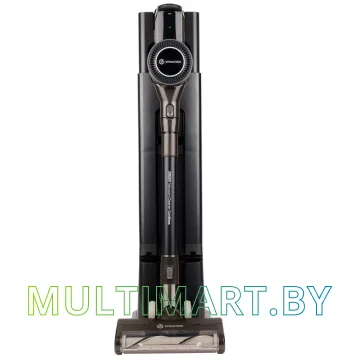 Пылесос Evolution Smart Clean DS2511 картинка 8